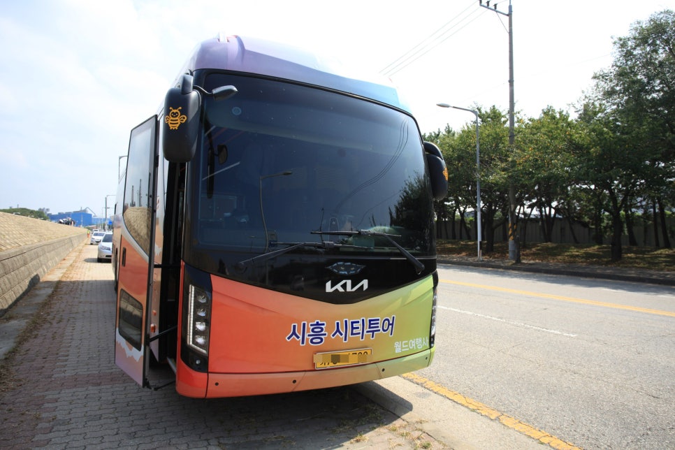 엠티비여행사 이미지