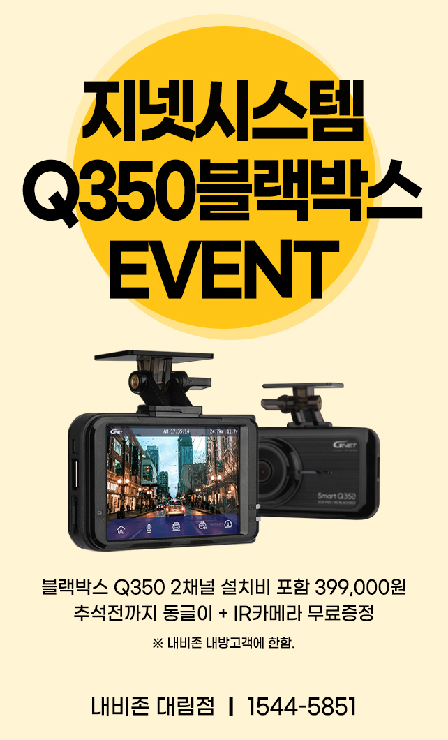 내비존 이미지