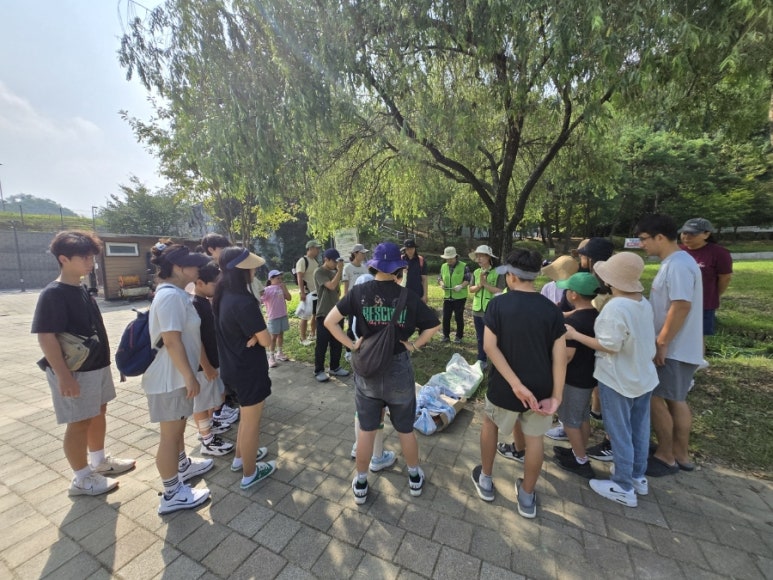 빛과열에너지 이미지