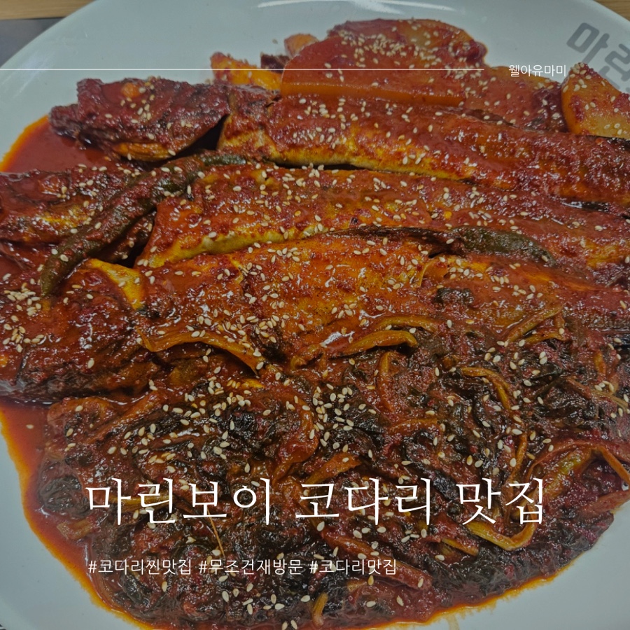 마린보이코다리1번가원동점 이미지