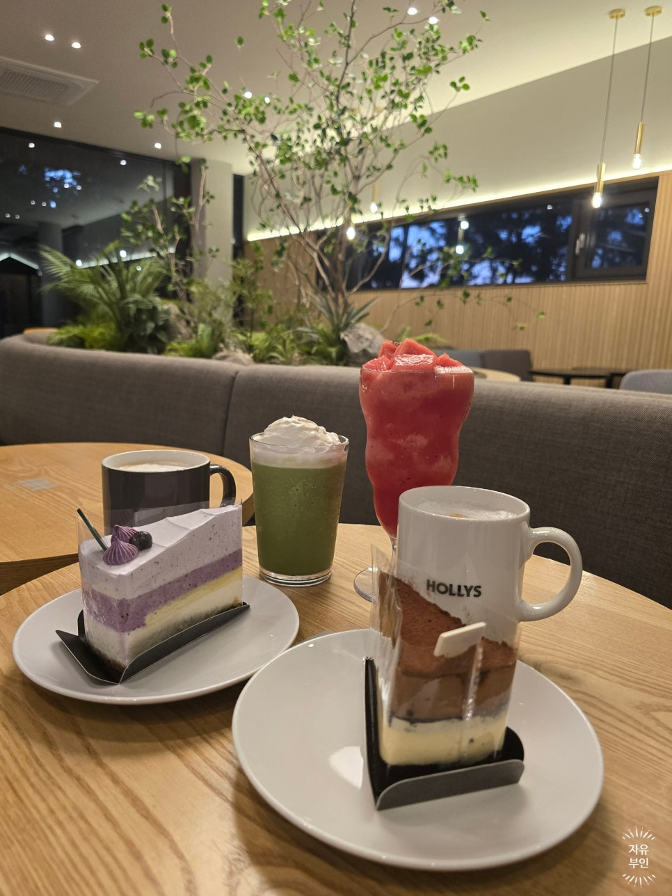할리스제주연북로DI점 이미지