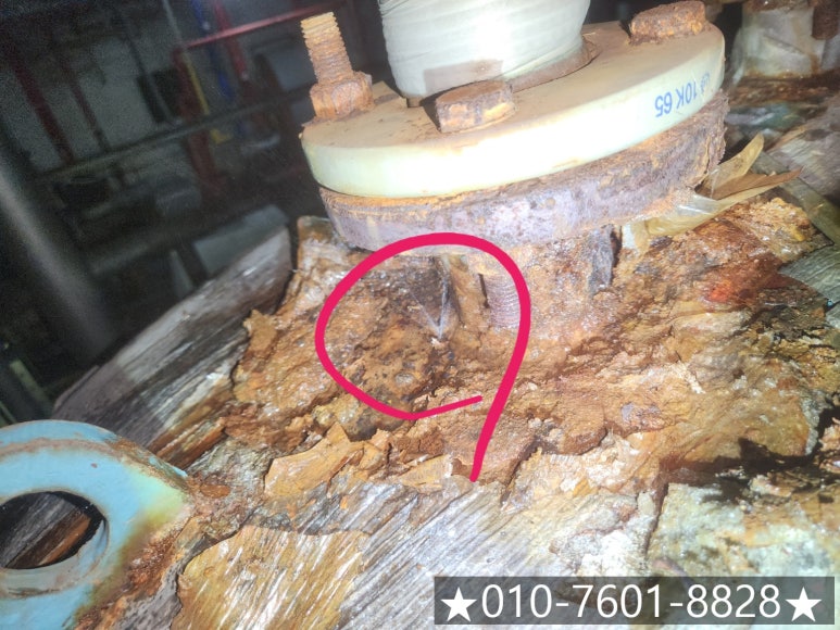 웰마스터 이미지