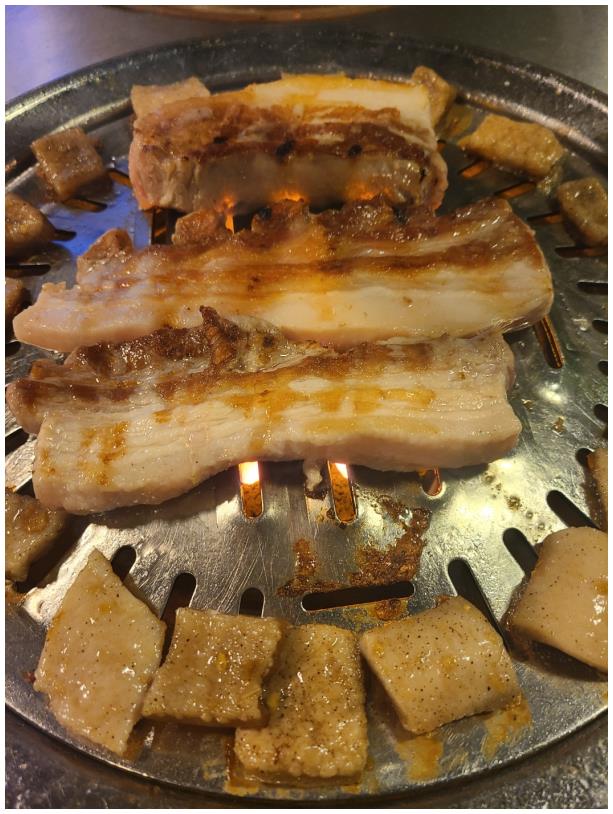 껍데기 이미지