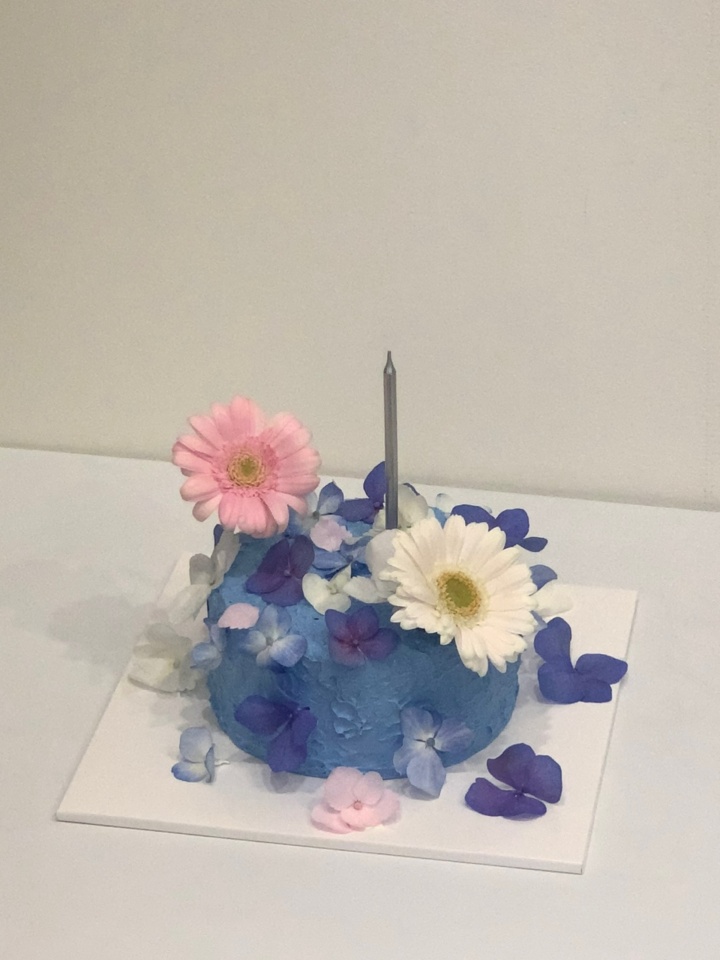 수케이크 이미지