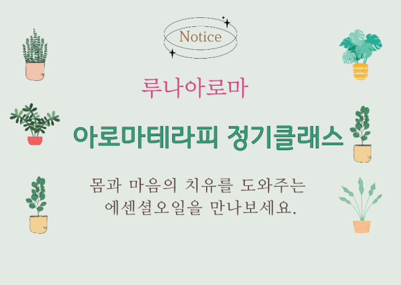 루나 아로마 이미지