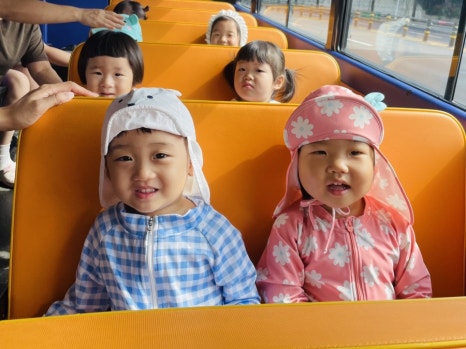 도로마망 이미지
