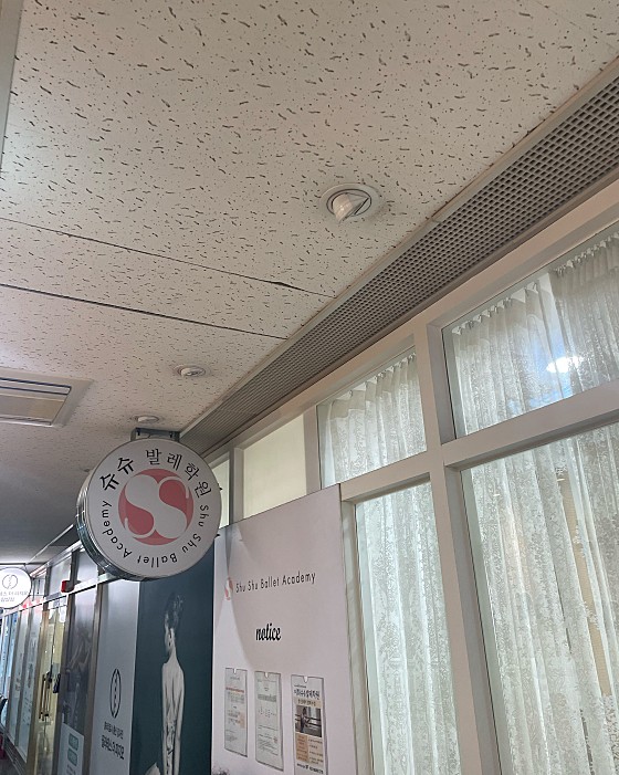 슈슈발레학원 이미지