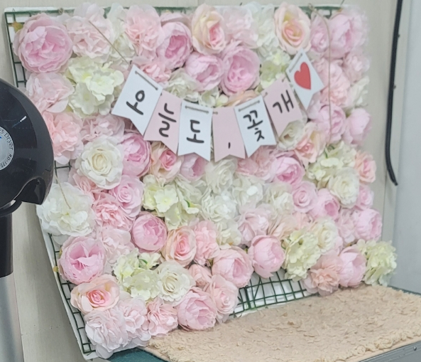 베스트강북애견미용학원 이미지