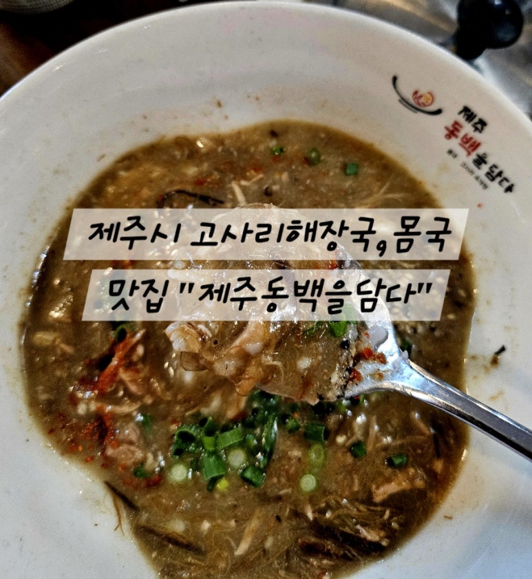 제주동백을담다 이미지