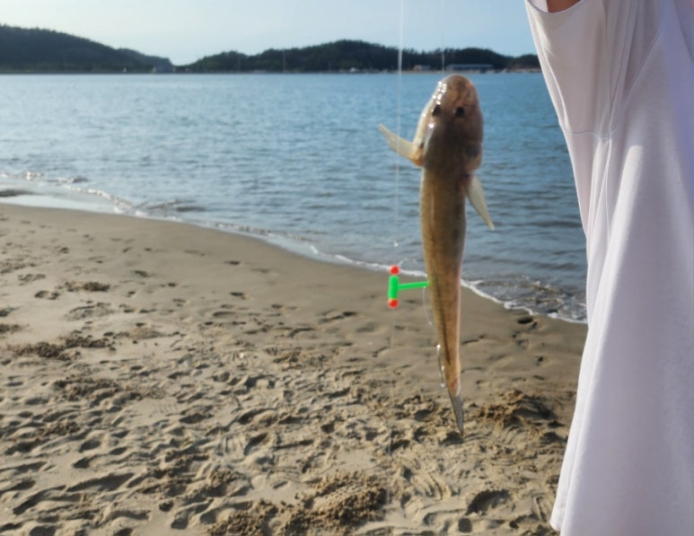 비금도바닷가펜션 이미지