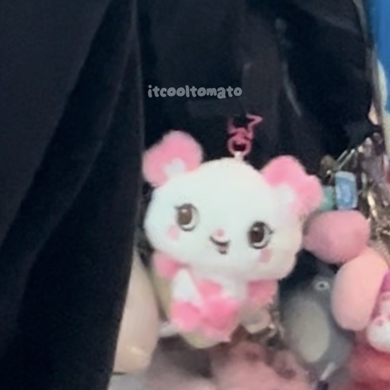 모하이 이미지