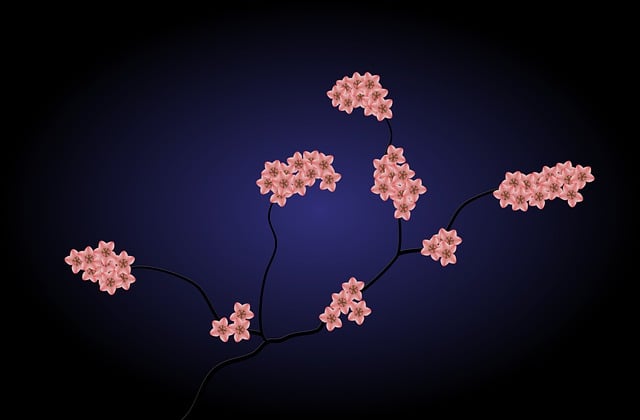 파탈리안 이미지