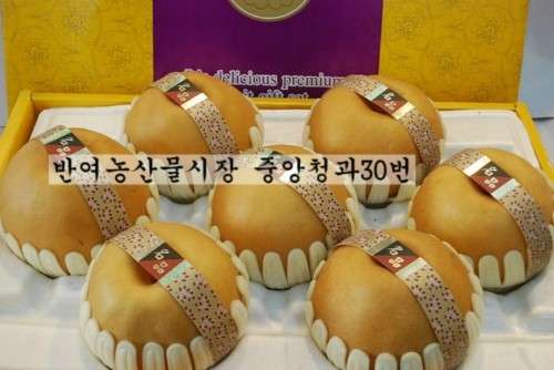 중앙청과30번 이미지