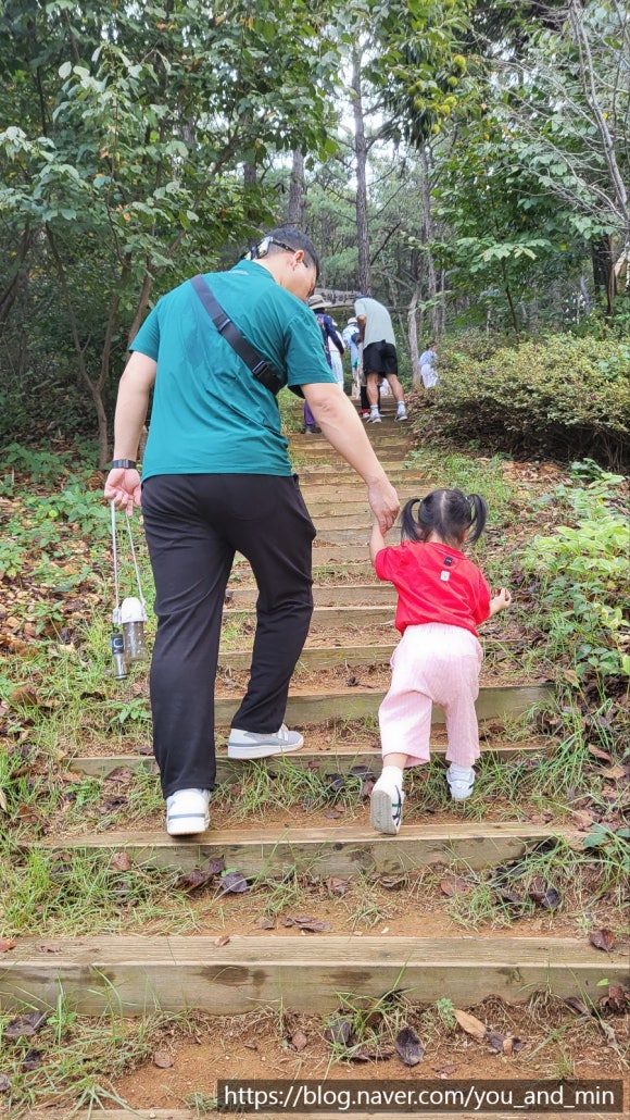 오봉산유아숲체험원 이미지