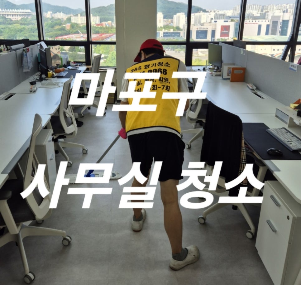돌핀크린 이미지