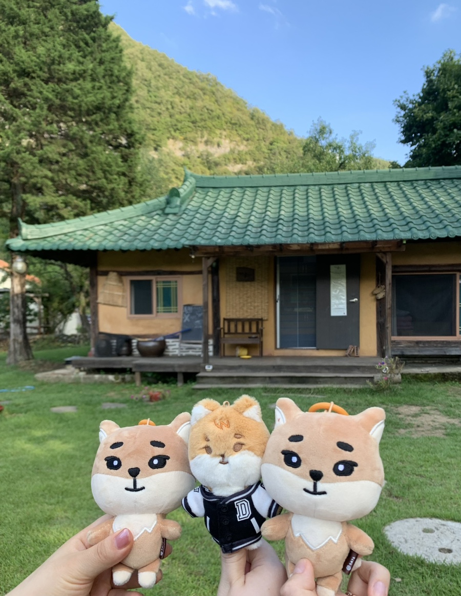 까치민박 이미지