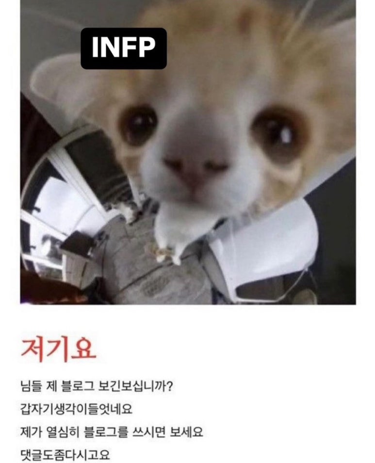 순미 이미지