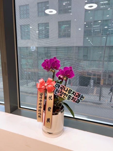 강서김치과의원 이미지