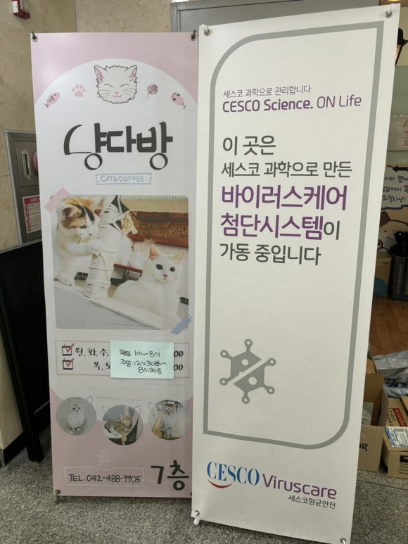 냥다방 이미지