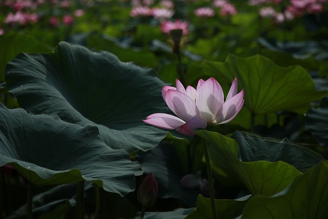 중앙이용원 이미지