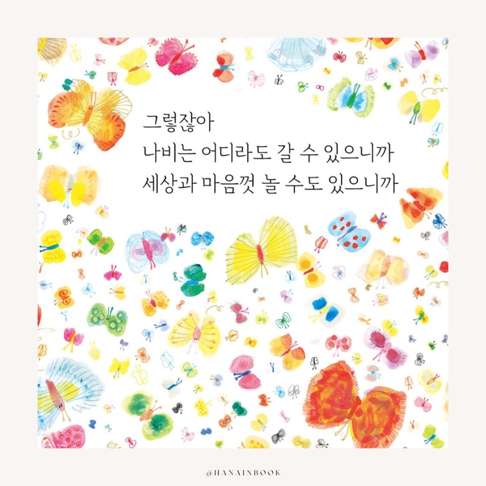 초월나비 이미지