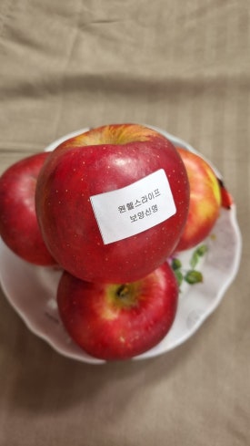 헬스라이프스토리 이미지