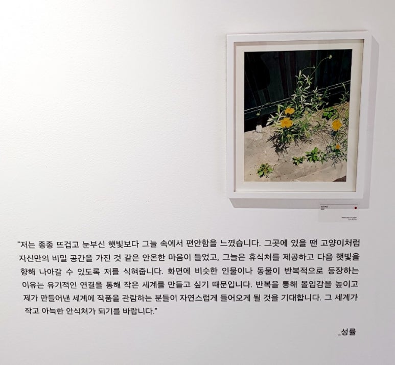 알부스 이미지