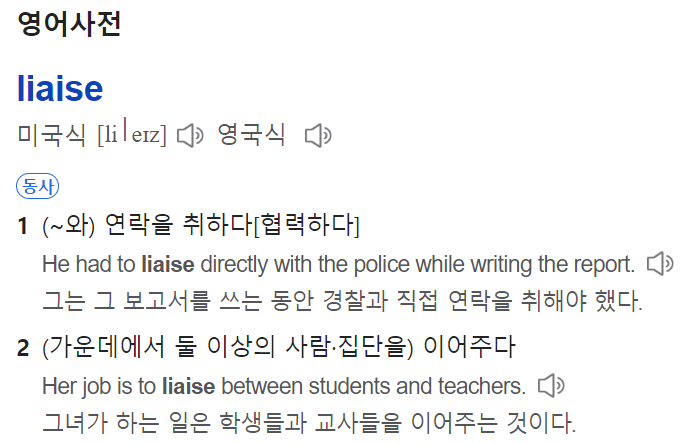 리에이즈 이미지
