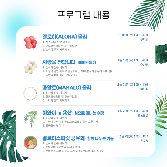 알로하클래스 이미지