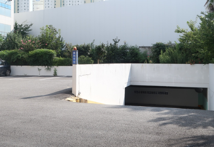 돈채 이미지