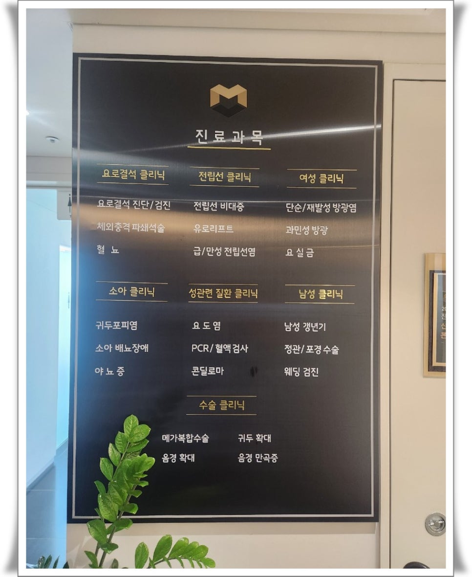 메가비뇨의학과 이미지