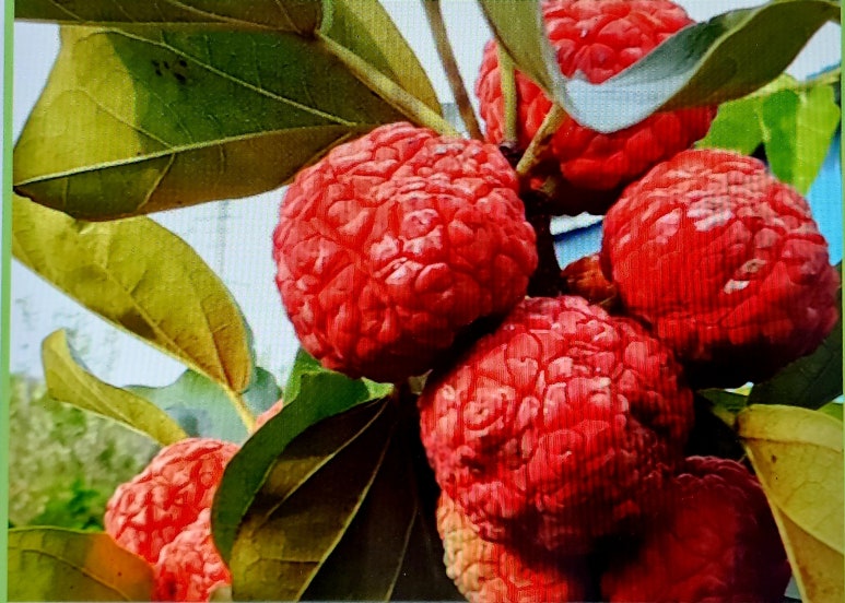 덩기덕쿵떡 이미지