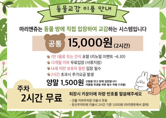 마리앤쥬 이미지