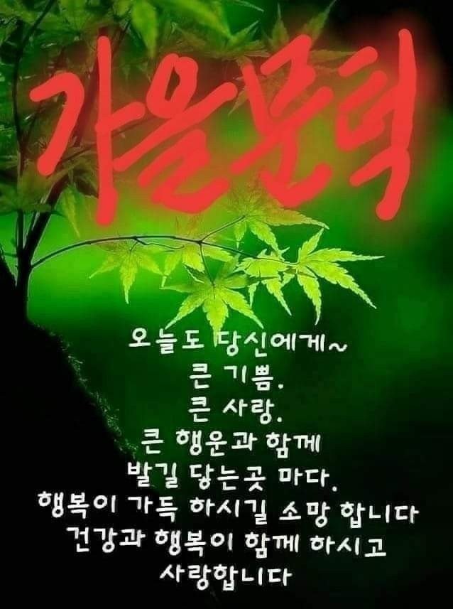 낭만포차한식점심부페 이미지