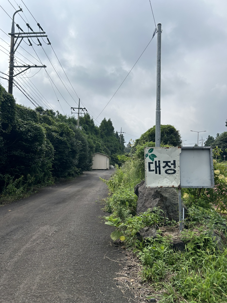 대정농원 사진 3