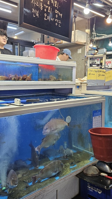 올레강민 이미지