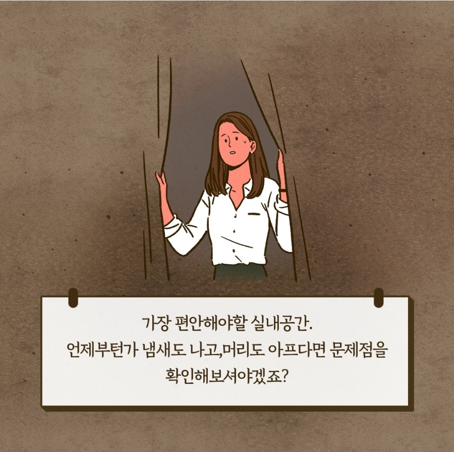 하우스위프 이미지