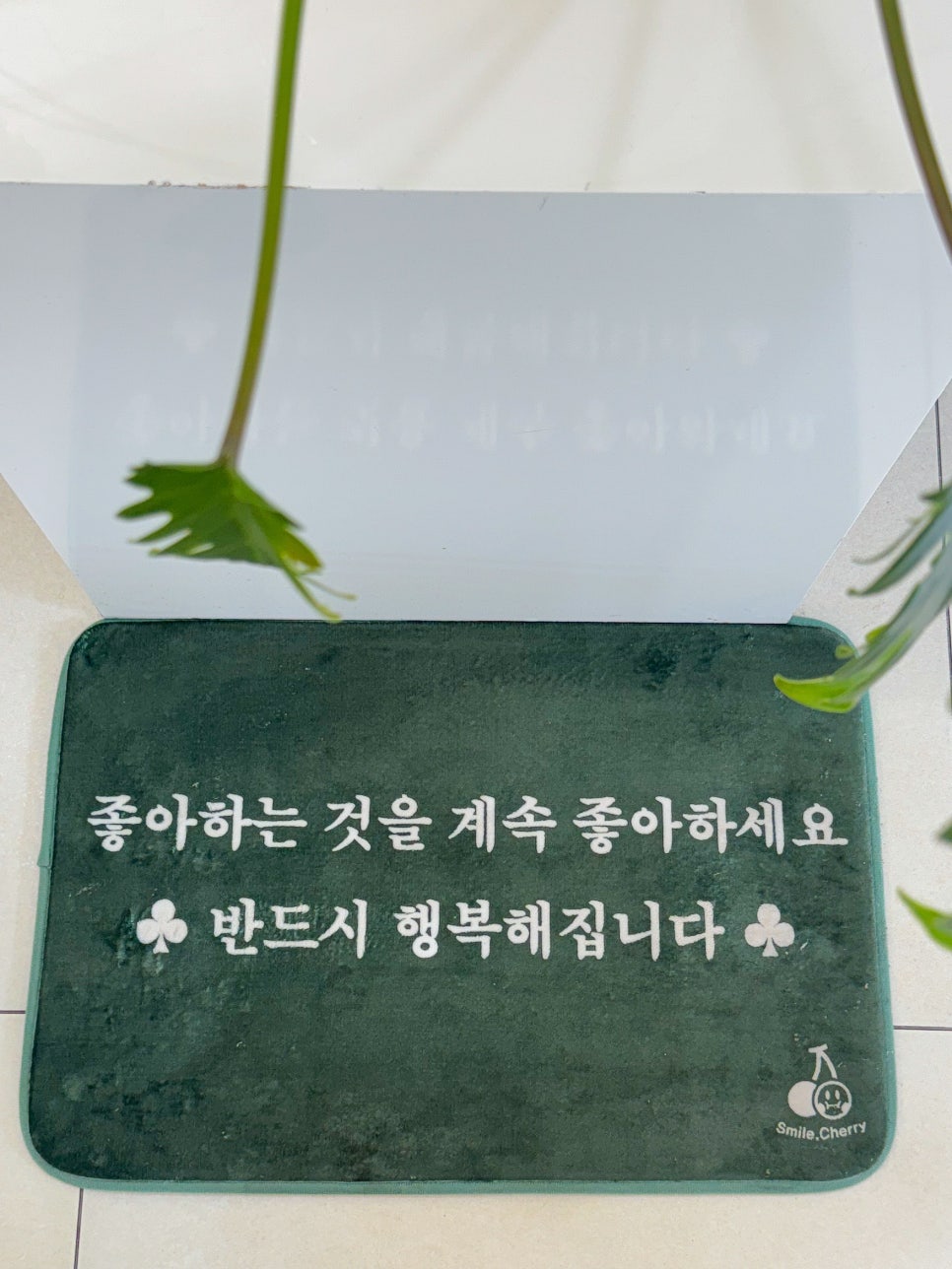 인커브 이미지
