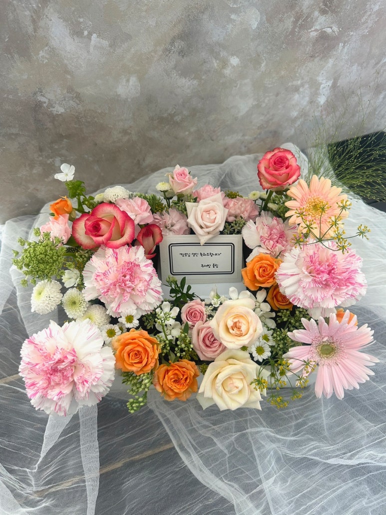 블랑드플레르 이미지