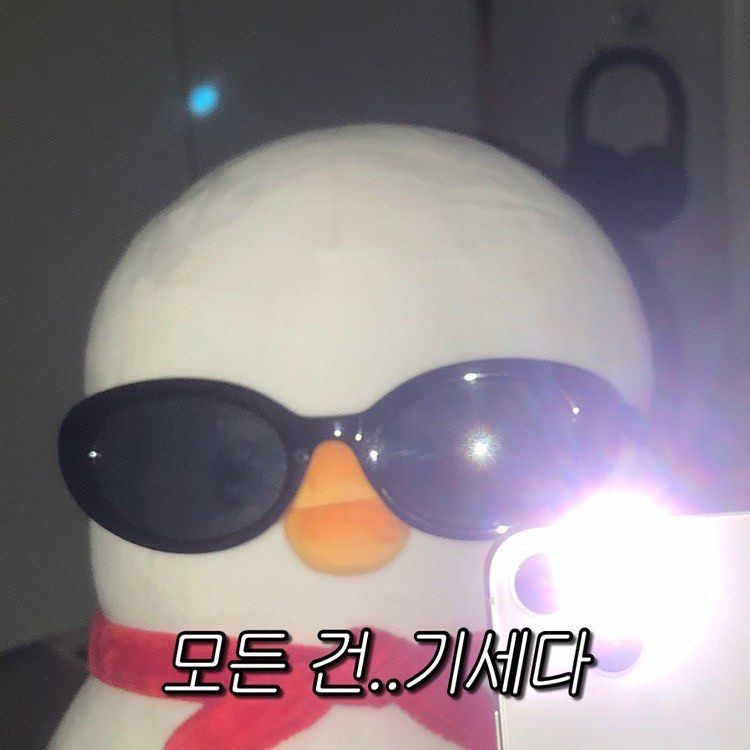 캠퍼즈 이미지