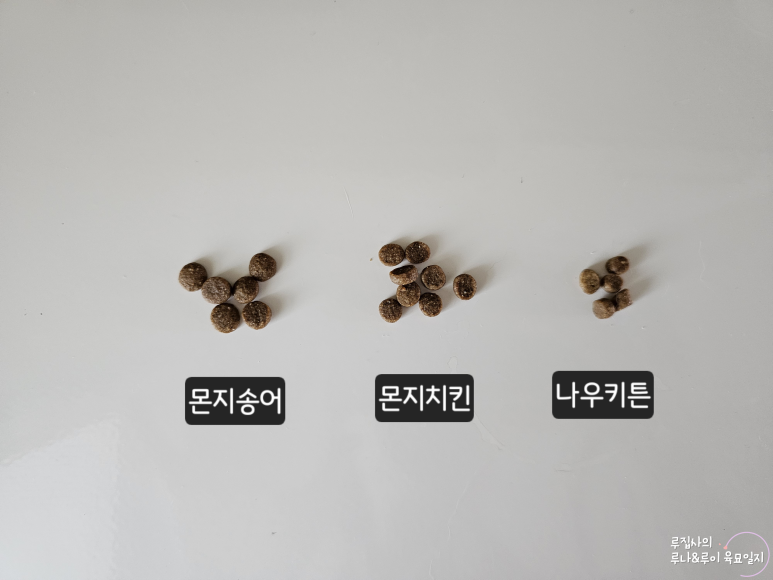 나우몬 이미지