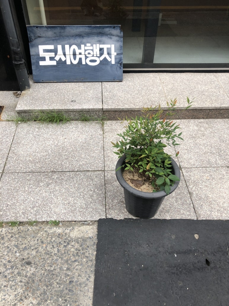 백가닥파스타 이미지