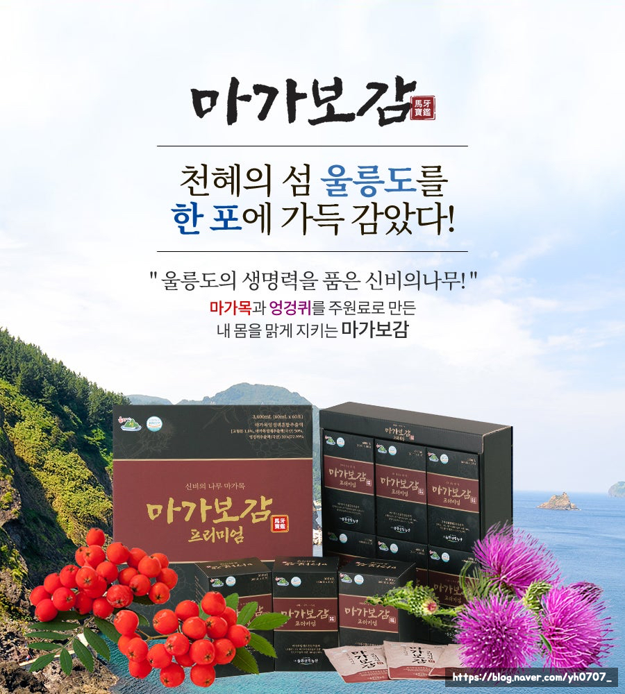 (주)마가 이미지