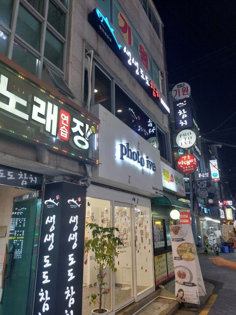 생생도도참치 이미지