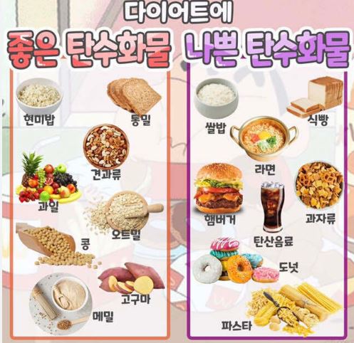 탄수화물 이미지