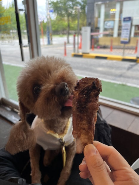 원조부안집 호계점 이미지