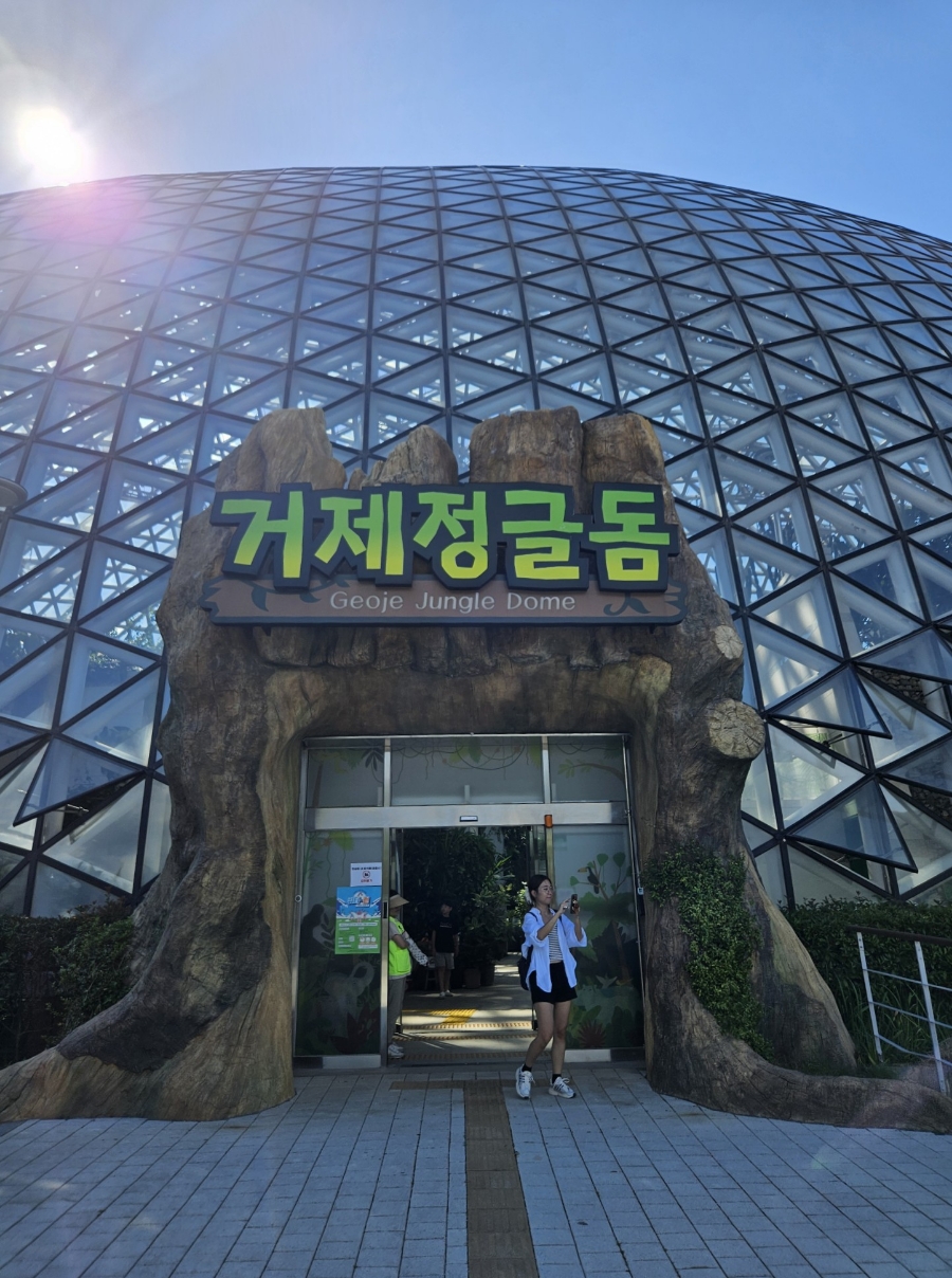 완향 이미지