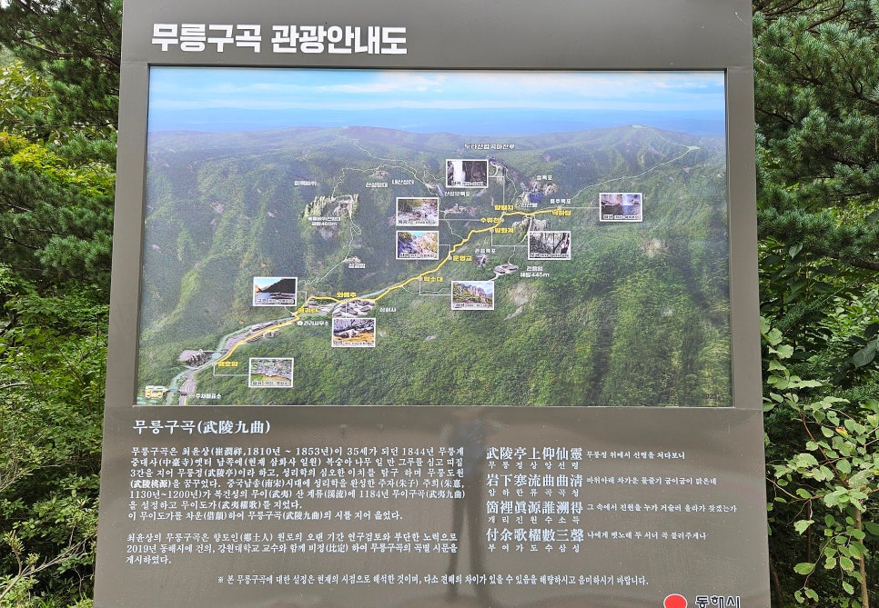 무릉이가 이미지