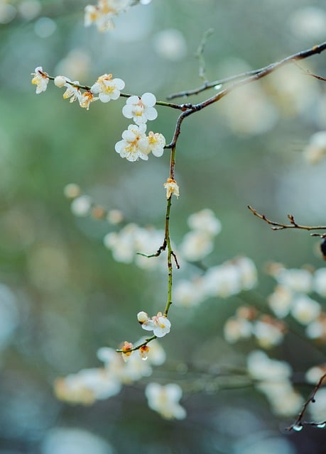 세경상회 이미지