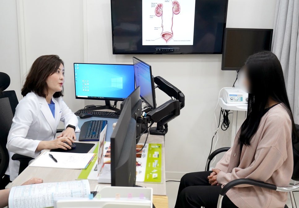 미사위대항의원 이미지